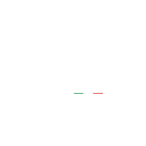Logo Ranieri International WHT